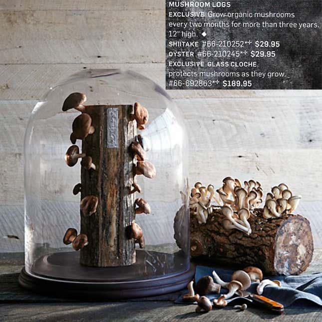 Image for article titled The 2014 Hater's Guide To The Williams-Sonoma Catalog