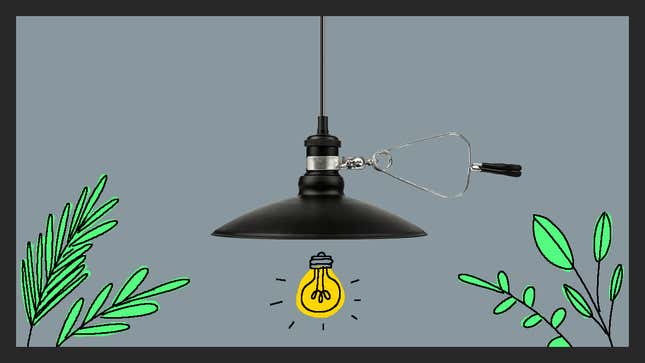 Image for article titled The Best Fixtures for Your Grow Lights