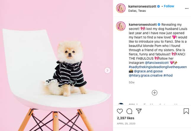 Image for article titled The Real Housewives of Dallas's Brief Encounter With a Pet Psychic Has Left Me Shaken