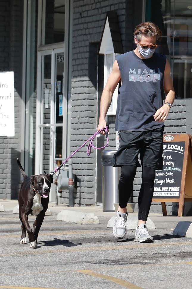 Image for article titled Chris Pine Is In a Three-Way Beauty Competition Against Springtime and His Dog