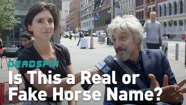 Are These The Names Of Real Race Horses Or Just Nonsense Phrases?<em></em>