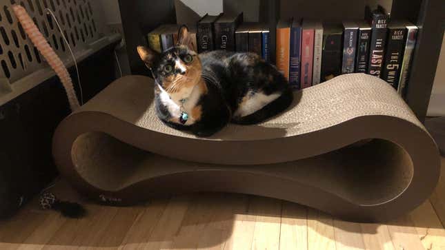 PetFusion Ultimate Cat Scratch Lounge, $50