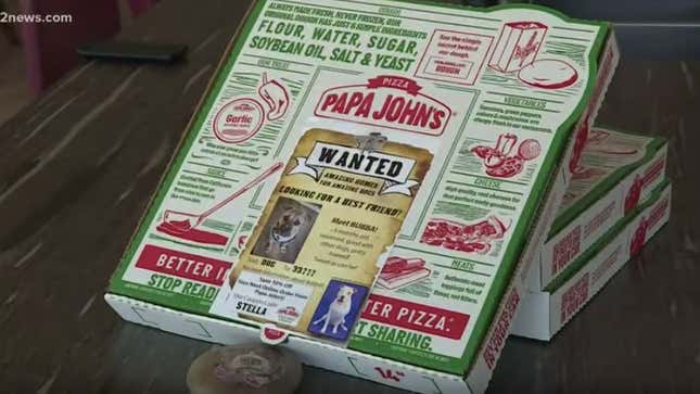 If you order a pizza in Phoenix, you might get a shelter dog, too