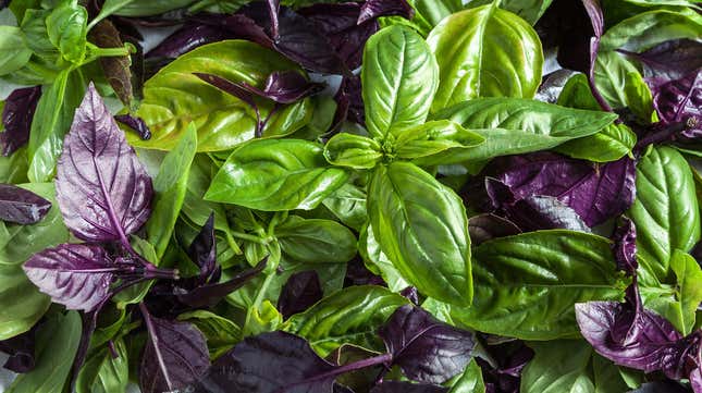 Image for article titled Break pesto from its Italian confines with spicy Thai basil noodles