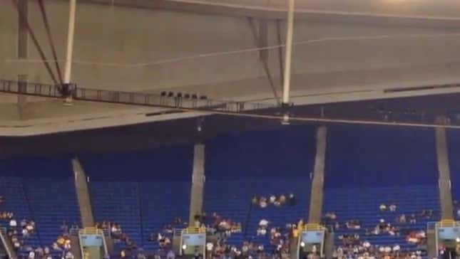 Fan Gets Ejected From Tropicana Field For Urinating In The Stands