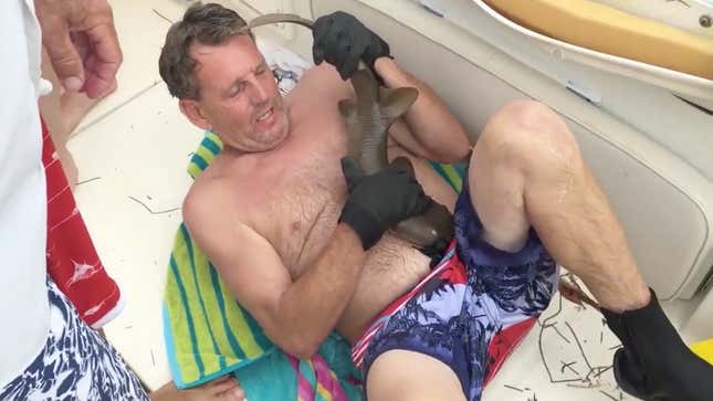 Extremely Dedicated Shark Bites Man, Refuses To Let Go