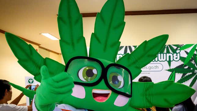 Image for article titled My Quarantine Stockpile Is Weed