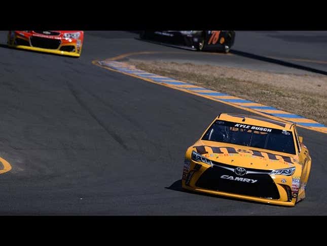 Noted Bugs Bunny Fan Kyle Busch Hits Jackrabbit In Practice