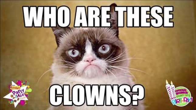 Meet the Man Who Made Grumpy Cat a Millionaire