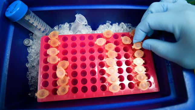Image for article titled Definitely Panic Over This Deadly New Mystery Illness