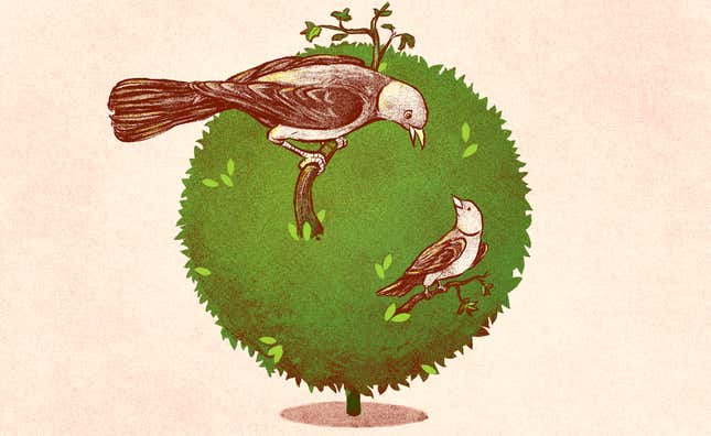 Image for article titled The Birds and the Business: A Mother and Daughter Talk About Sex