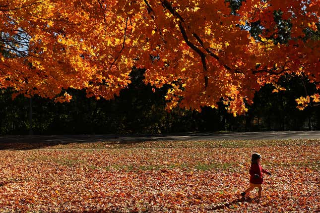 Image for article titled This Suburban Leaf Blower Drama Is Getting Heated