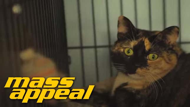EL-P On The New Cat-Rap Classic <i>Meow The Jewels</i>: "It's A Lonely And Strange Thing"