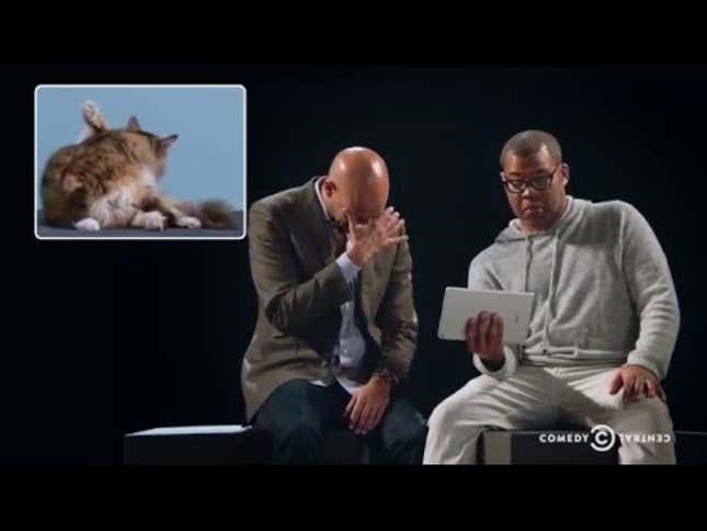 Watch Key and Peele Torture Us With Adorable Fucking Kitten Auditions