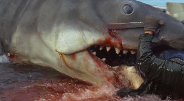 Image for article titled It's Cop Versus Shark in Jaws—Who's the Monster Now?