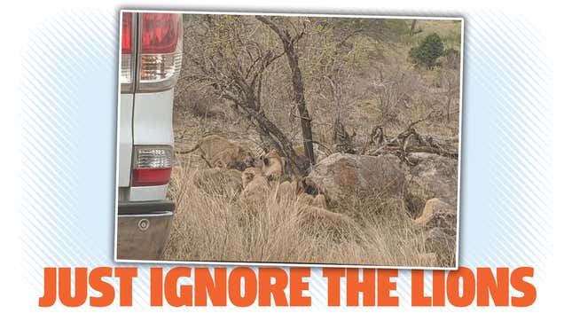 Image for article titled Ignore That Pride Of Lions Devouring Some Poor, Delicious Animal. What Car Is This?