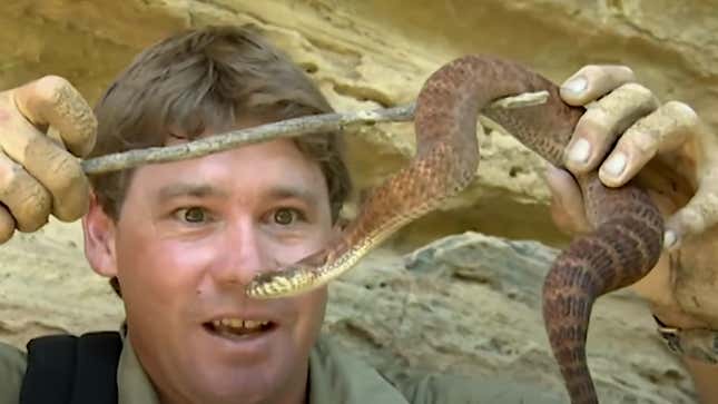 Steve Irwin