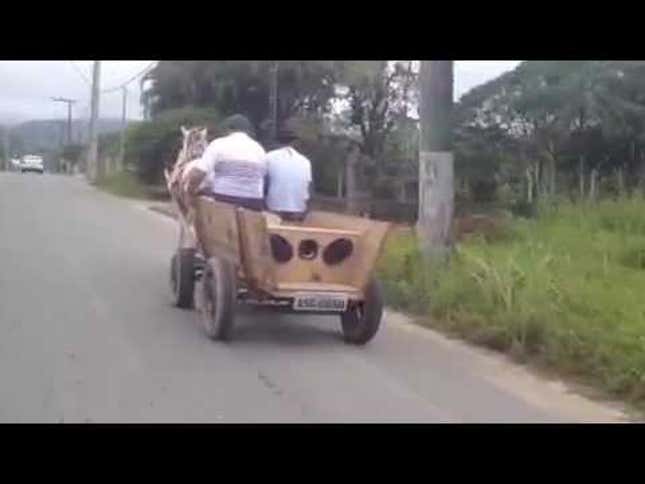 The Dog Is On The Horse