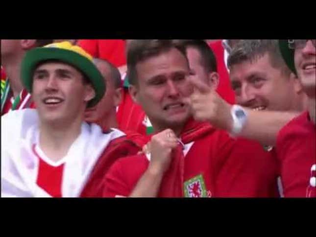Wales Fan Feels A Lot Of Feelings