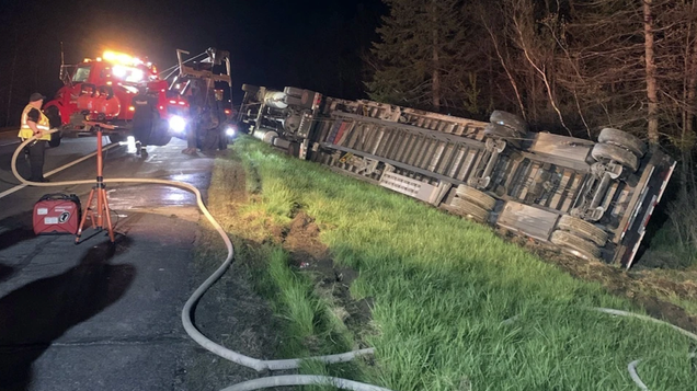 18-Wheeler Carrying 15 Million Bees Crashes In Maine, Releases Unknown Number Of Flying Monsters