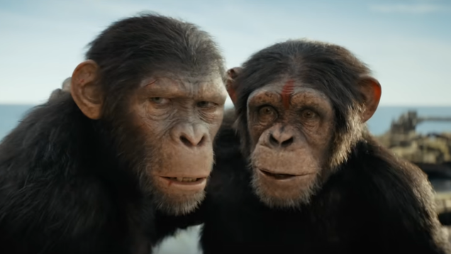 The box office smiles on the Kingdom Of The Planet Of The Apes