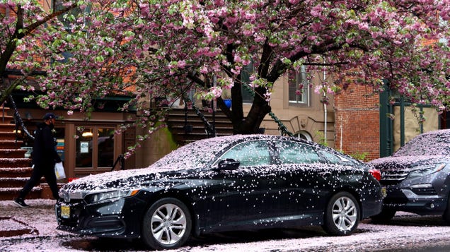 What’s The Most Essential Part Of Your Spring Car Care Routine?