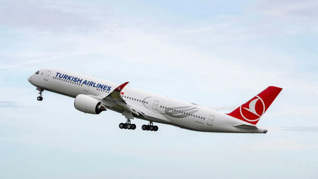 Turkish Airlines Isn't Doing Anything About Its Bedbug Problem: Report