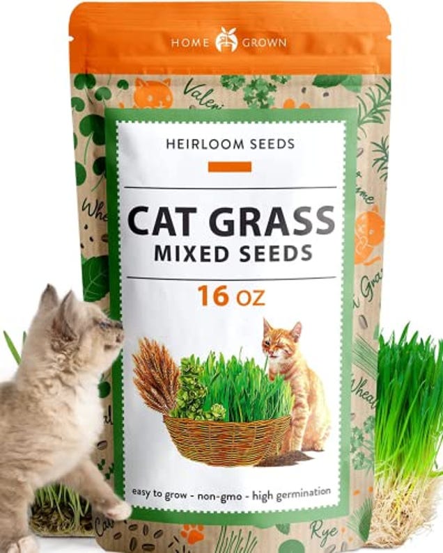 HOME GROWN 1 Pound Cat Grass Seeds for Indoor Cats & Pets, Now 17% Off