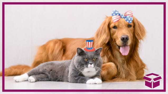 How to Keep Your Furry Friend Calm During Fireworks on 4th of July