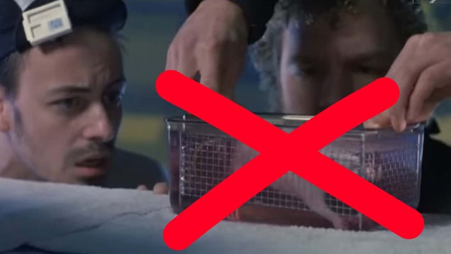 Disney+ Removes Sci-Fi Film Because Of Controversial Rat-Drowning Scene