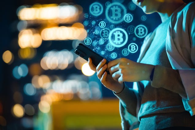 5 countries that own the most Bitcoin