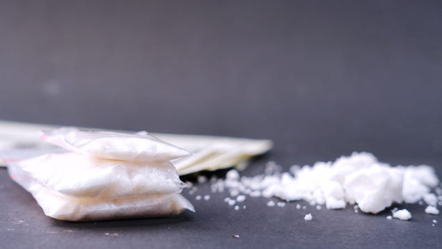 Here's Exactly How Cocaine Makes You Ignore Your Basic Needs