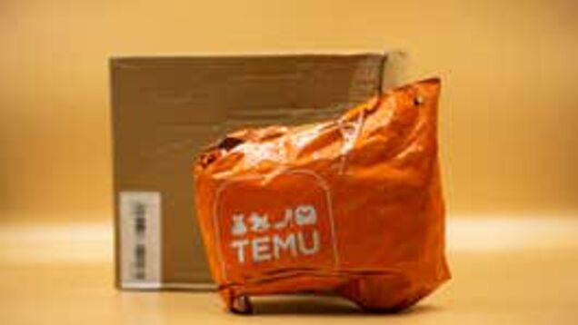 Temu is going after Amazon on speedy delivery