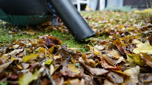These Are the Best Mulchers to Tackle Your Leaves This Fall