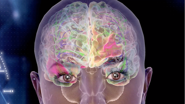What Makes The ‘Digital Brain’ Seem So Human?