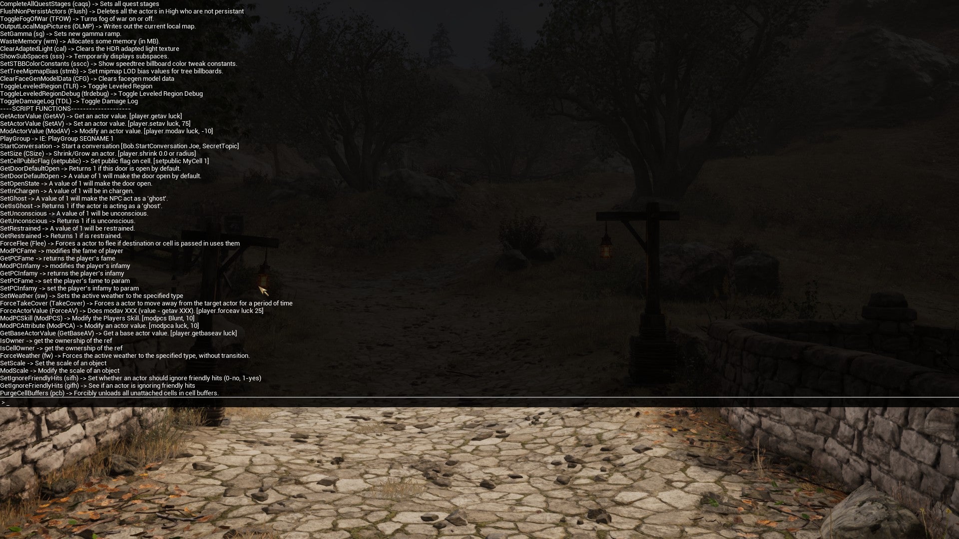 Console list in Oblivion Remasted.