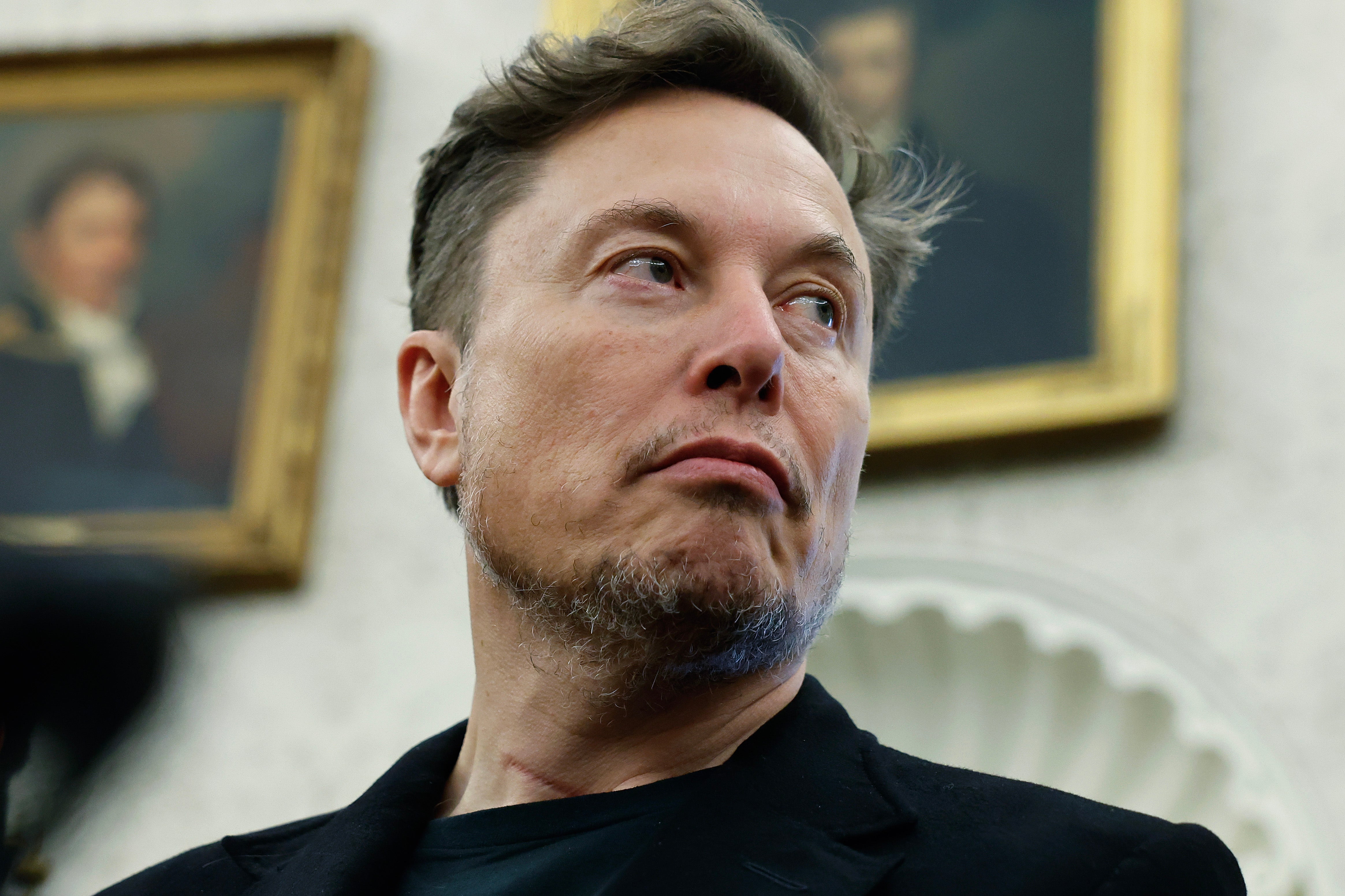 Image for 6 memorable moments from Elon Musk's time leading DOGE